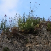 Uracher Wasserfall und Festung Hohenurach