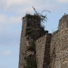 Uracher Wasserfall und Festung Hohenurach
