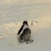 img_2877vfl-dfh