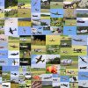 Warbirdtreffen MFG-Dornhan 08.06.2013