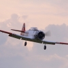 Warbirdtreffen MFG-Dornhan 08.06.2013